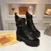 Louis Vuitton Shoes for Women's Louis Vuitton boots #9116193