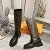 Louis Vuitton Shoes for Women's Louis Vuitton boots #A44408