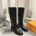 Louis Vuitton Shoes for Women's Louis Vuitton boots #A44408