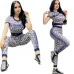 Dior 2022 new Fashion Tracksuits for Women #999920497